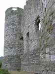 18986 Carlow Castle wall.jpg